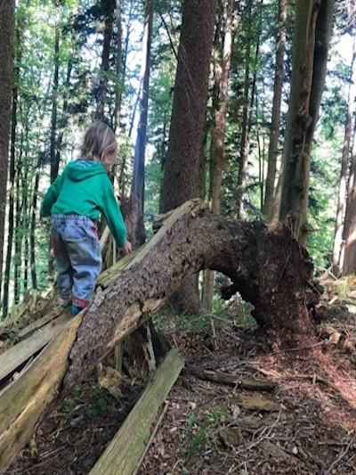 Kinder in der Natur